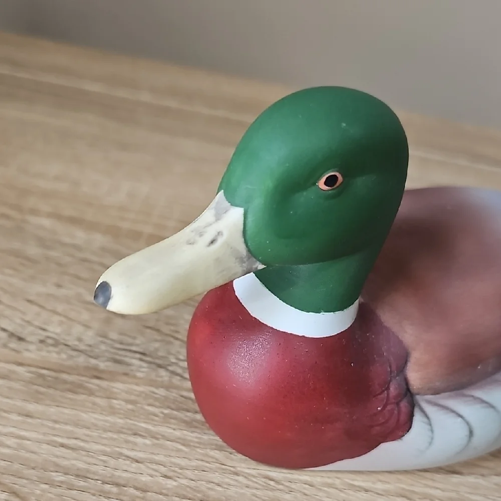 Andrea By Sadek charming duck